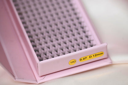 Extensions de Cils Préfaits 10D